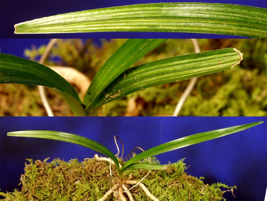 ������ ū������ �� �� �ֽ��ϴ�.