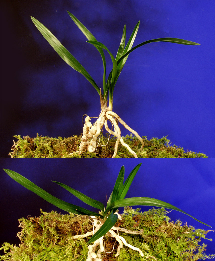 ������ ū������ �� �� �ֽ��ϴ�.