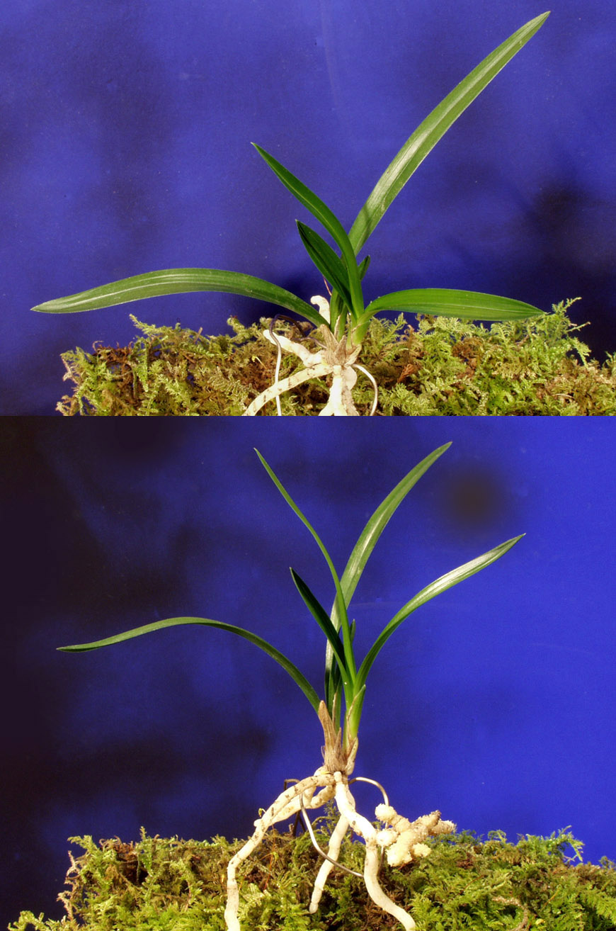 ������ ū������ �� �� �ֽ��ϴ�.