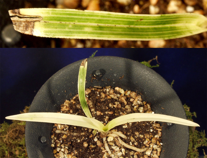 ������ ū������ �� �� �ֽ��ϴ�.