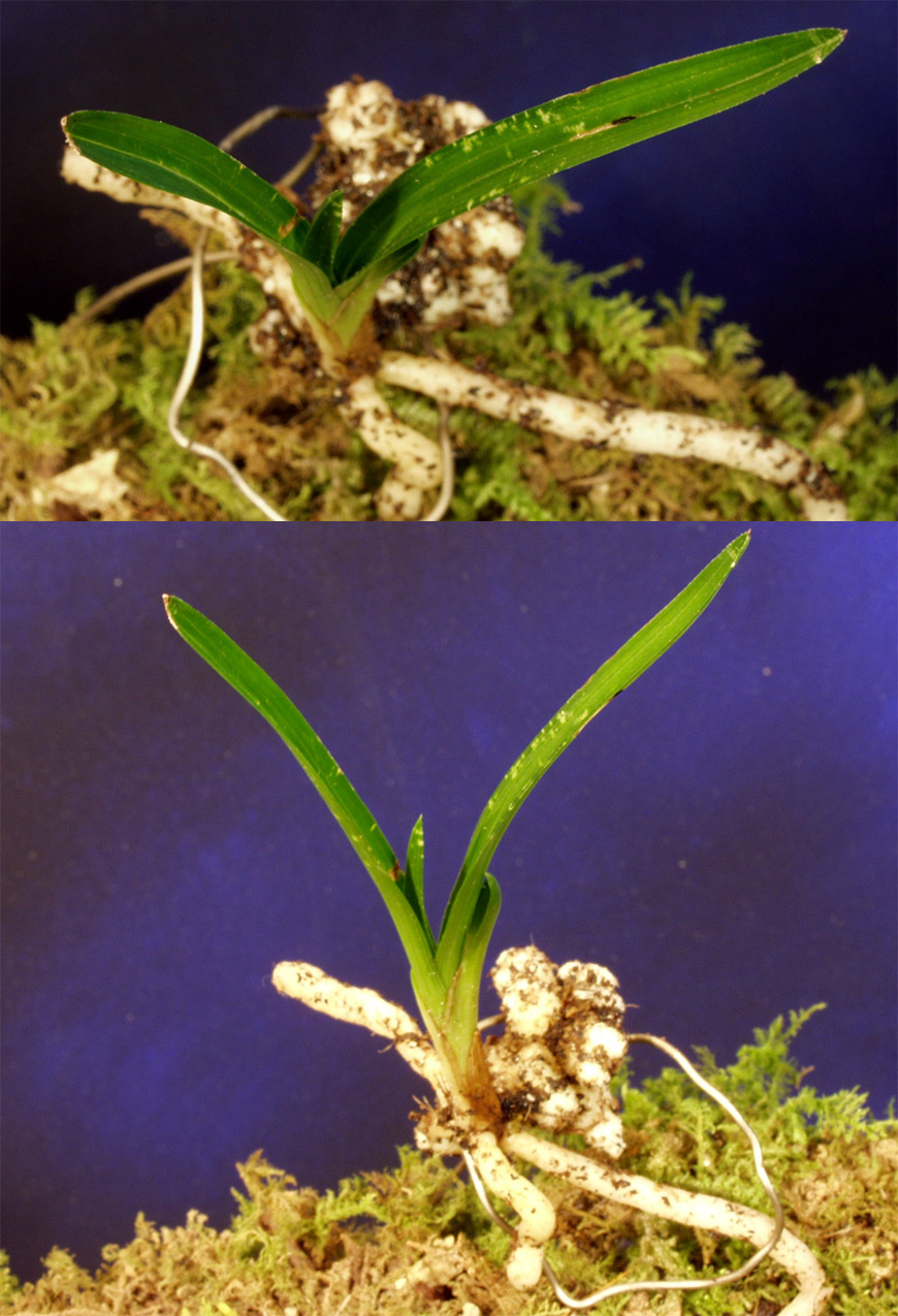 ������ ū������ �� �� �ֽ��ϴ�.