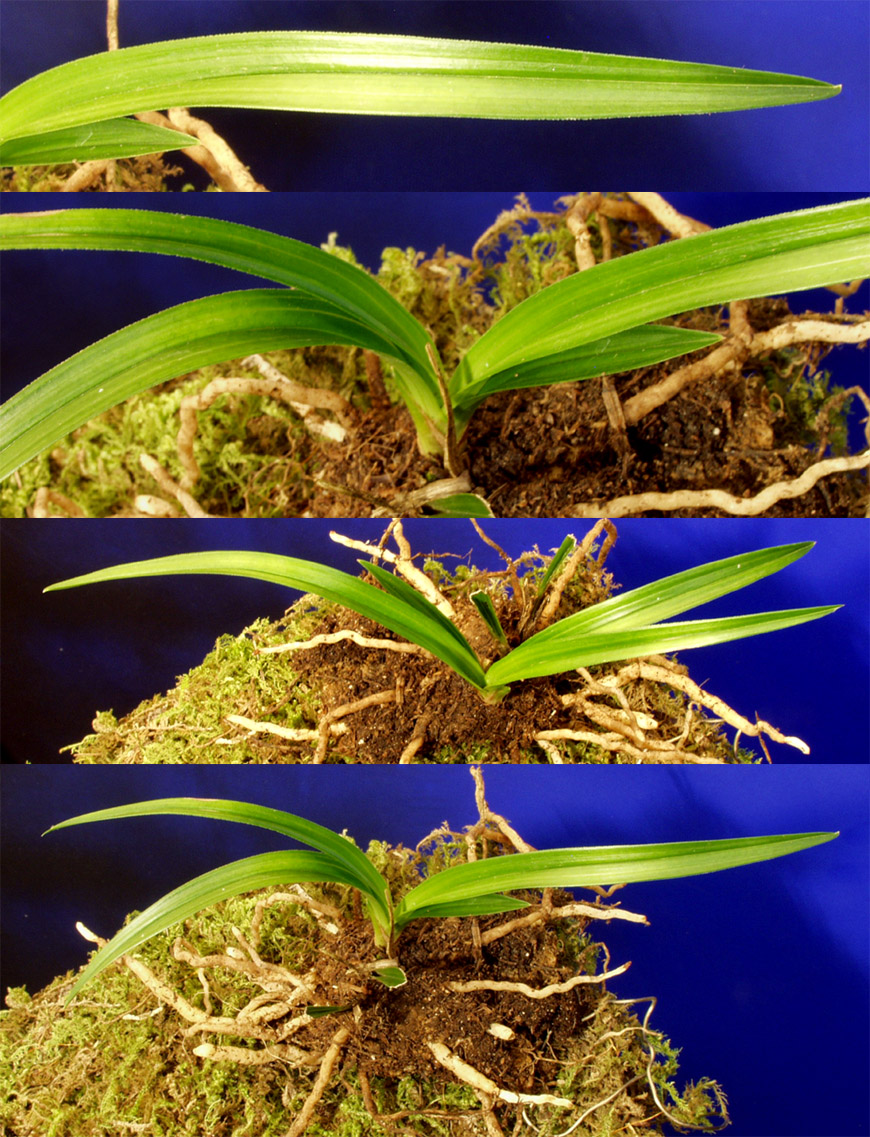 ������ ū������ �� �� �ֽ��ϴ�.