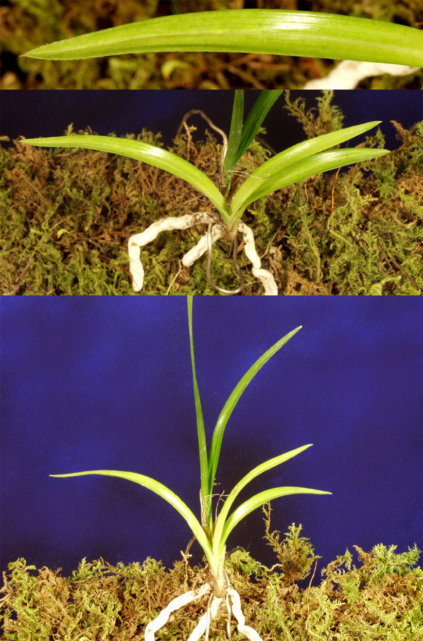 ������ ū������ �� �� �ֽ��ϴ�.