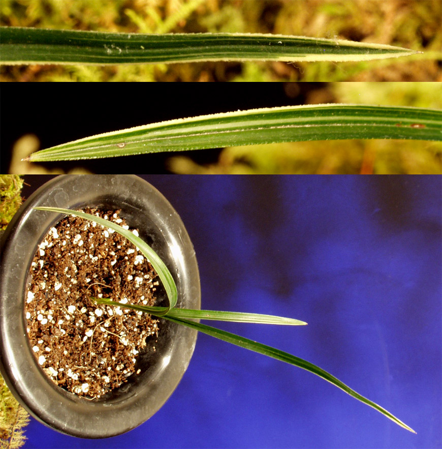 ������ ū������ �� �� �ֽ��ϴ�.