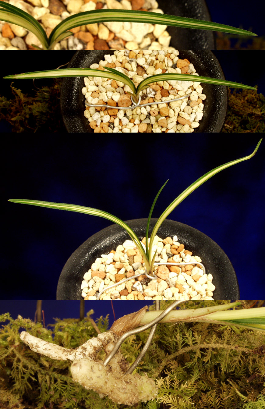 ������ ū������ �� �� �ֽ��ϴ�.