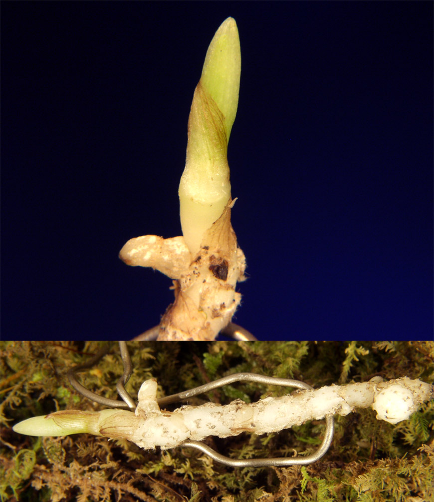 ������ ū������ �� �� �ֽ��ϴ�.