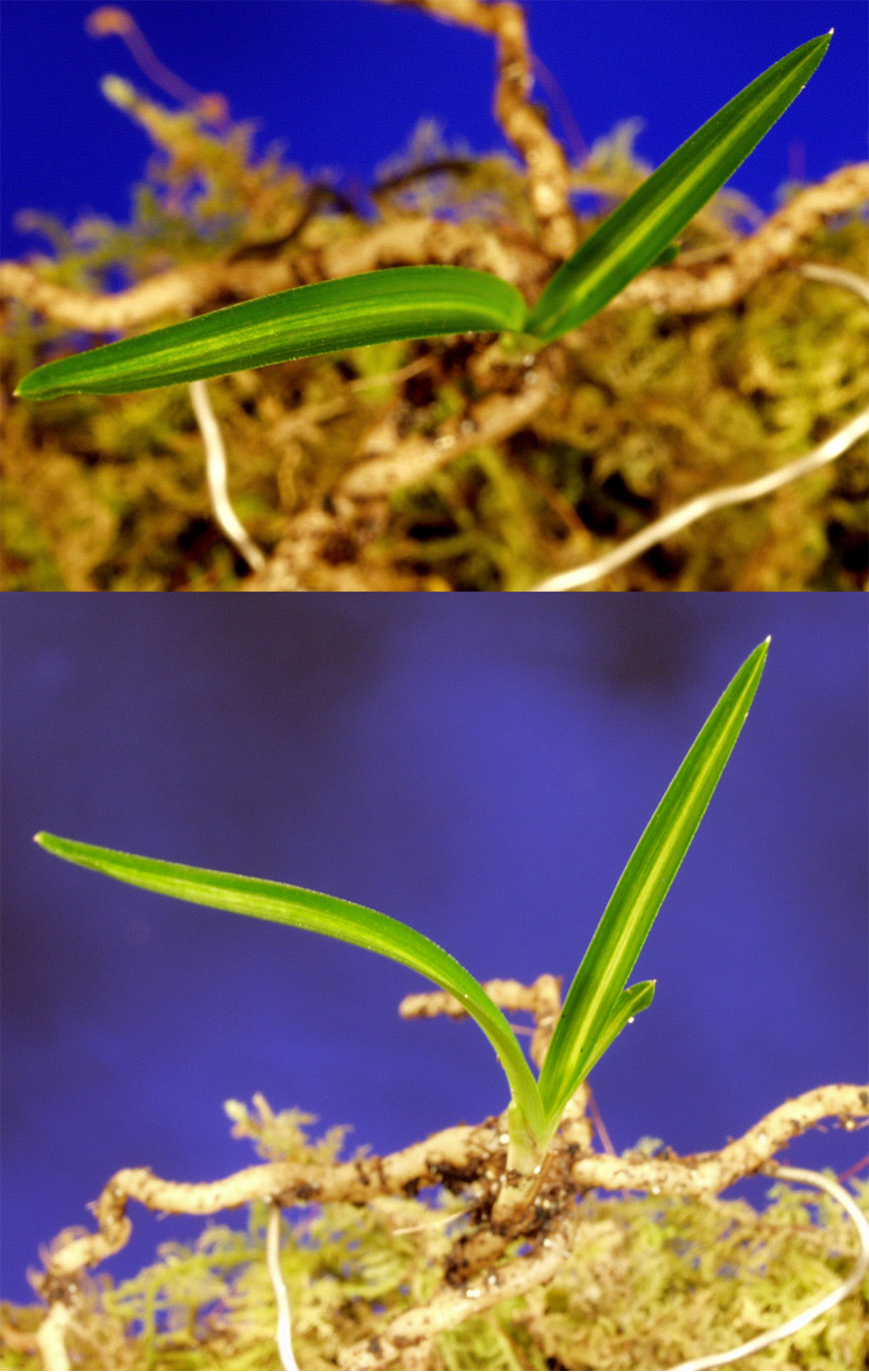 ������ ū������ �� �� �ֽ��ϴ�.