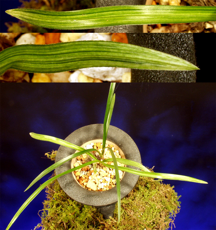 ������ ū������ �� �� �ֽ��ϴ�.