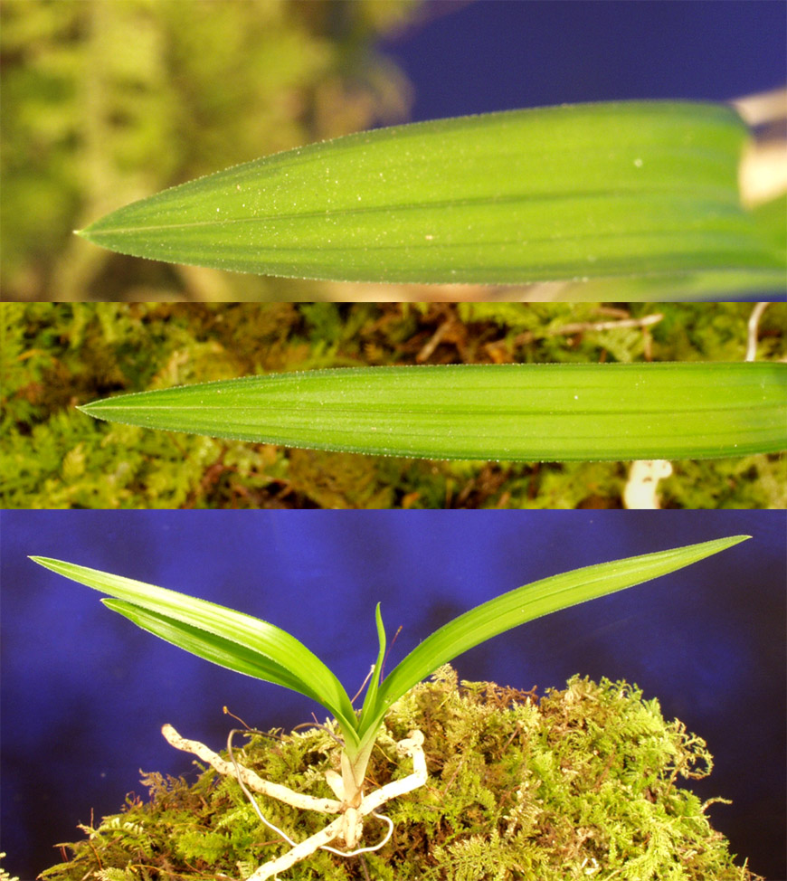 ������ ū������ �� �� �ֽ��ϴ�.