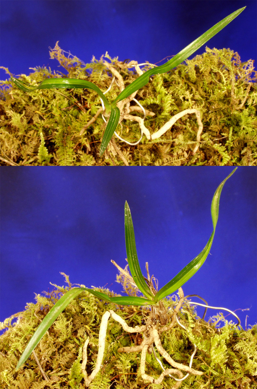 ������ ū������ �� �� �ֽ��ϴ�.