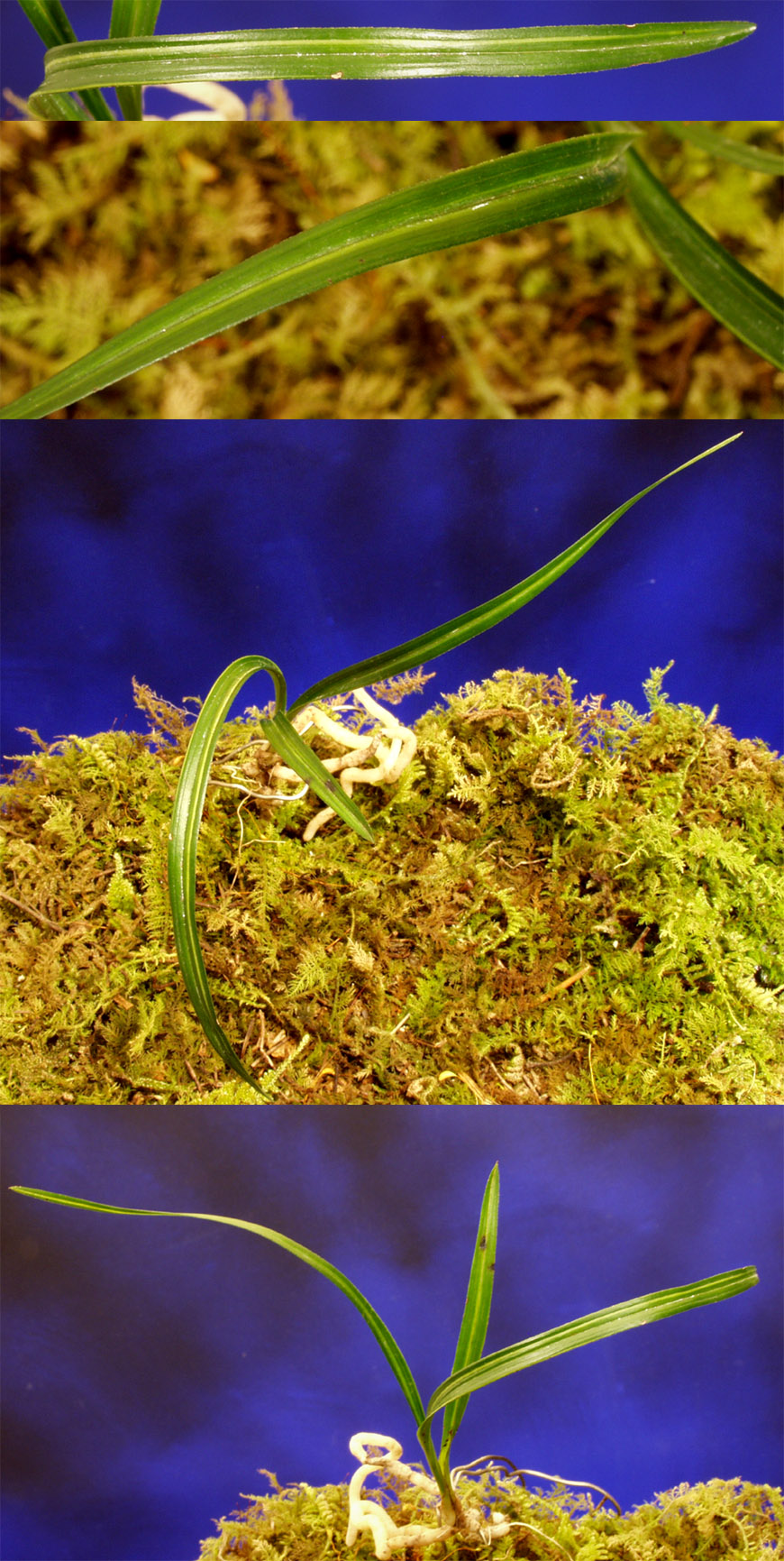 ������ ū������ �� �� �ֽ��ϴ�.