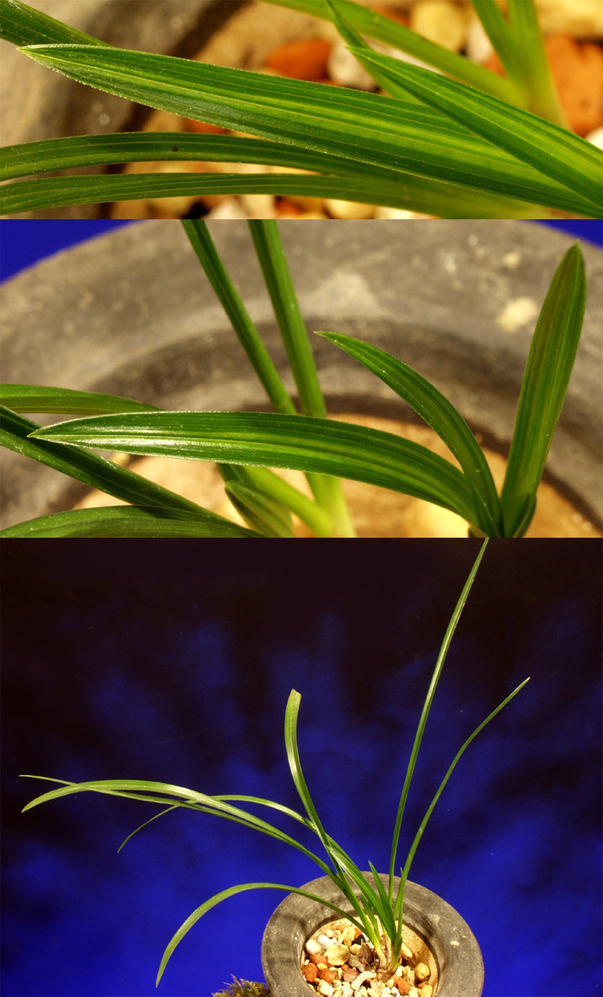 ������ ū������ �� �� �ֽ��ϴ�.