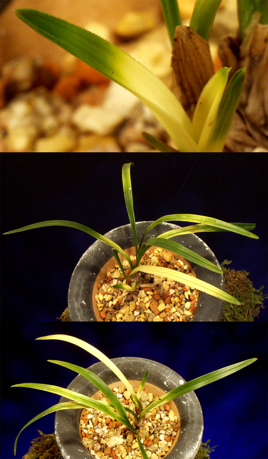 ������ ū������ �� �� �ֽ��ϴ�.