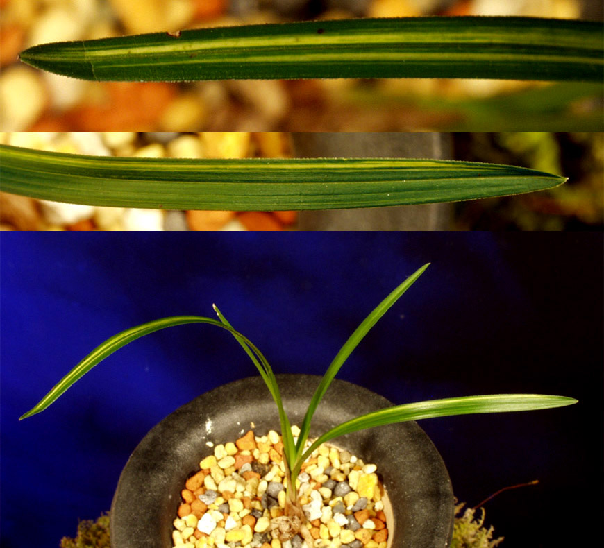 ������ ū������ �� �� �ֽ��ϴ�.