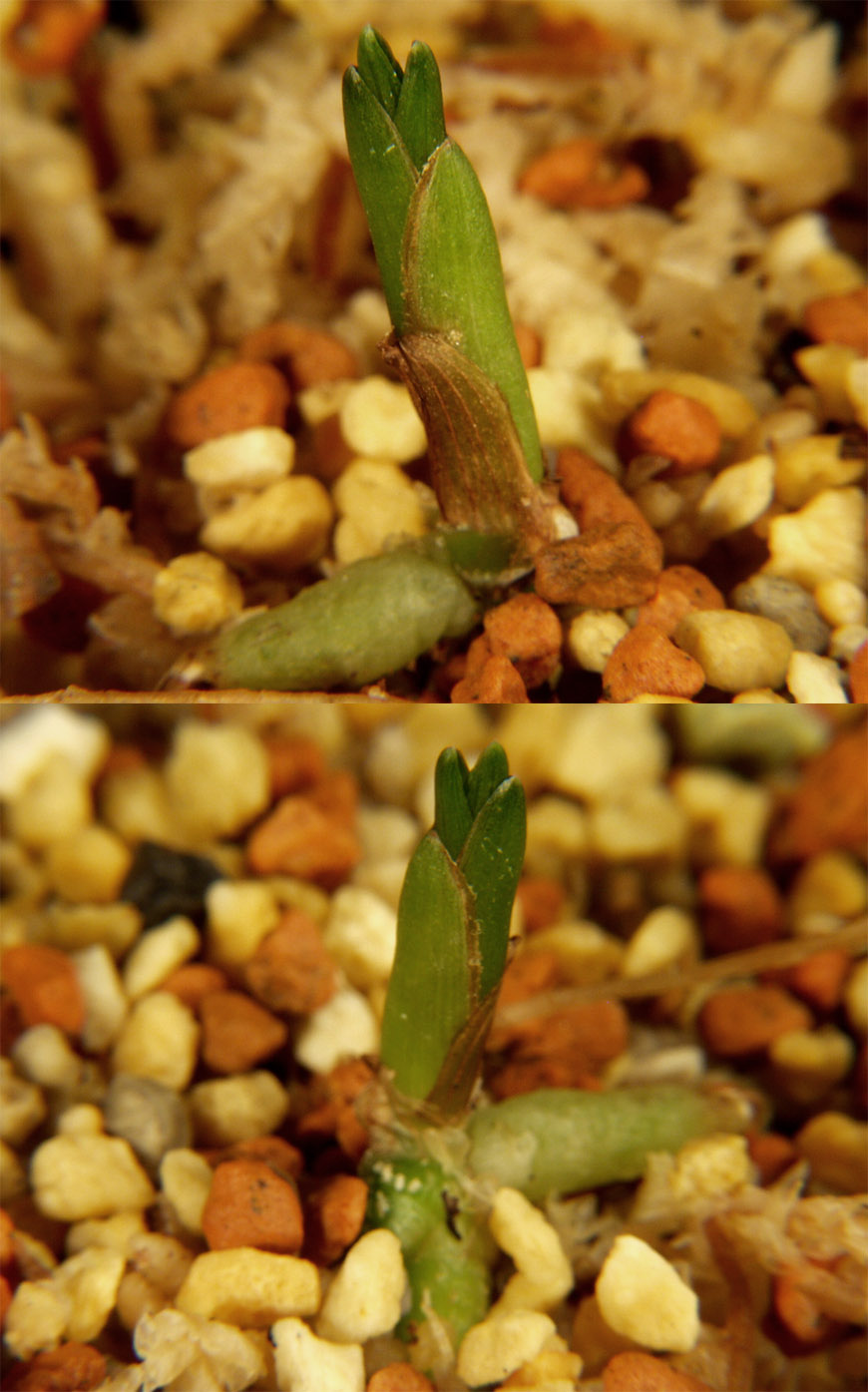 ������ ū������ �� �� �ֽ��ϴ�.