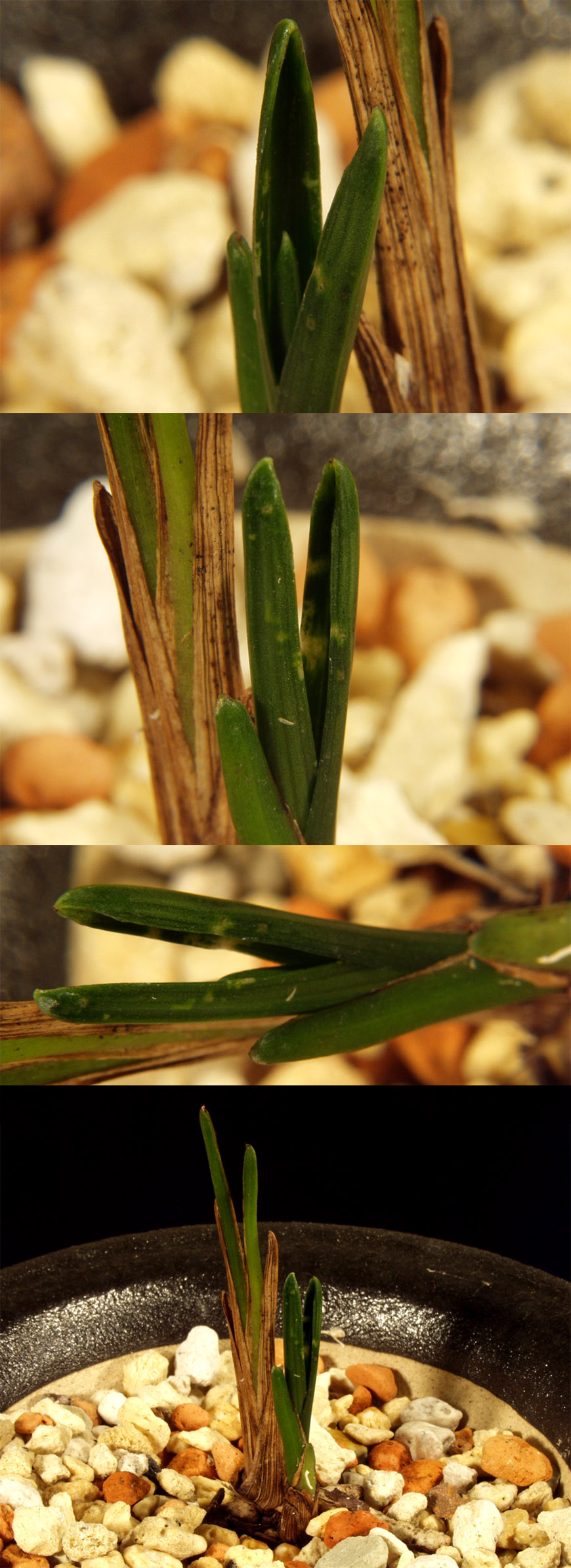 ������ ū������ �� �� �ֽ��ϴ�.