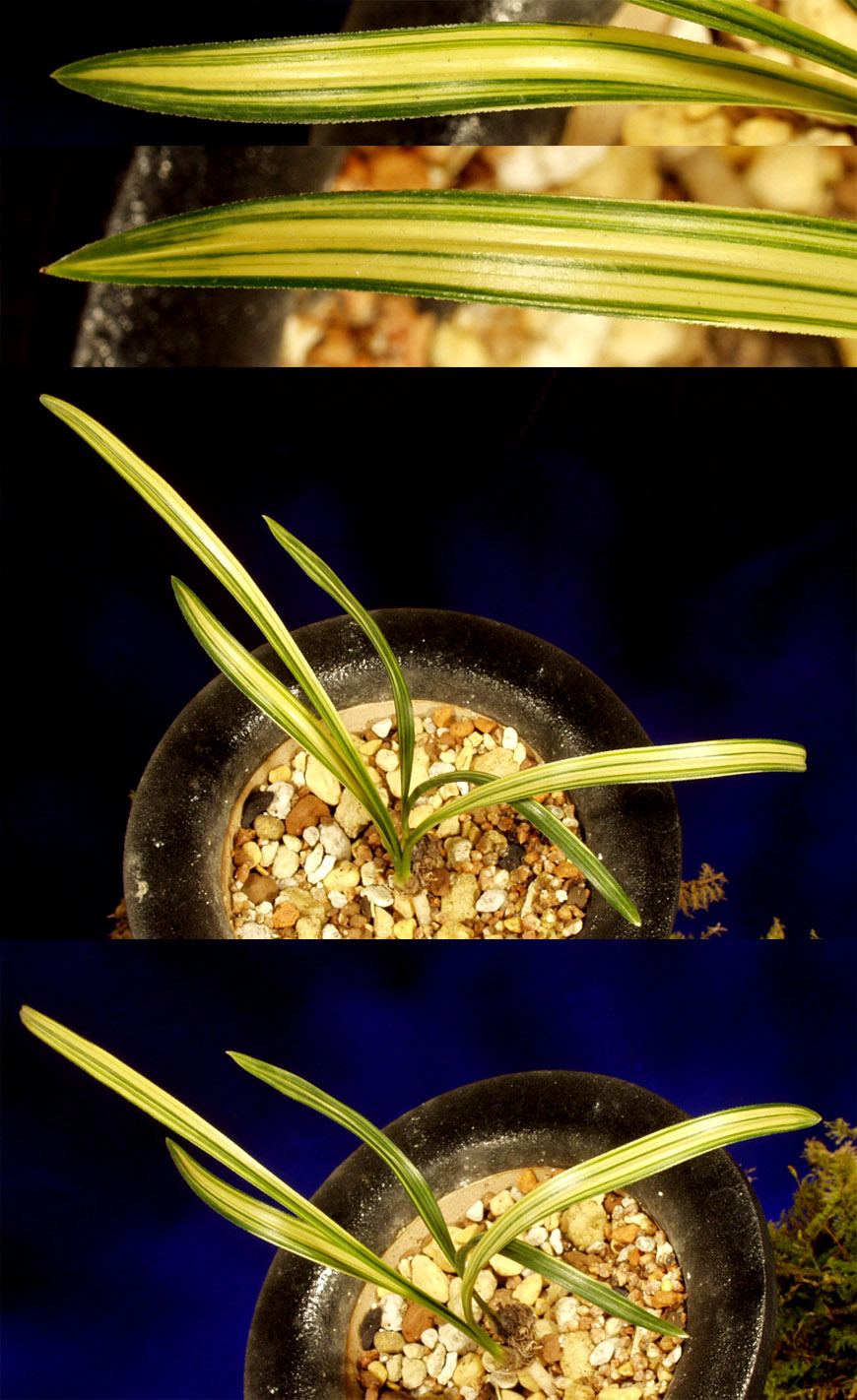 ������ ū������ �� �� �ֽ��ϴ�.