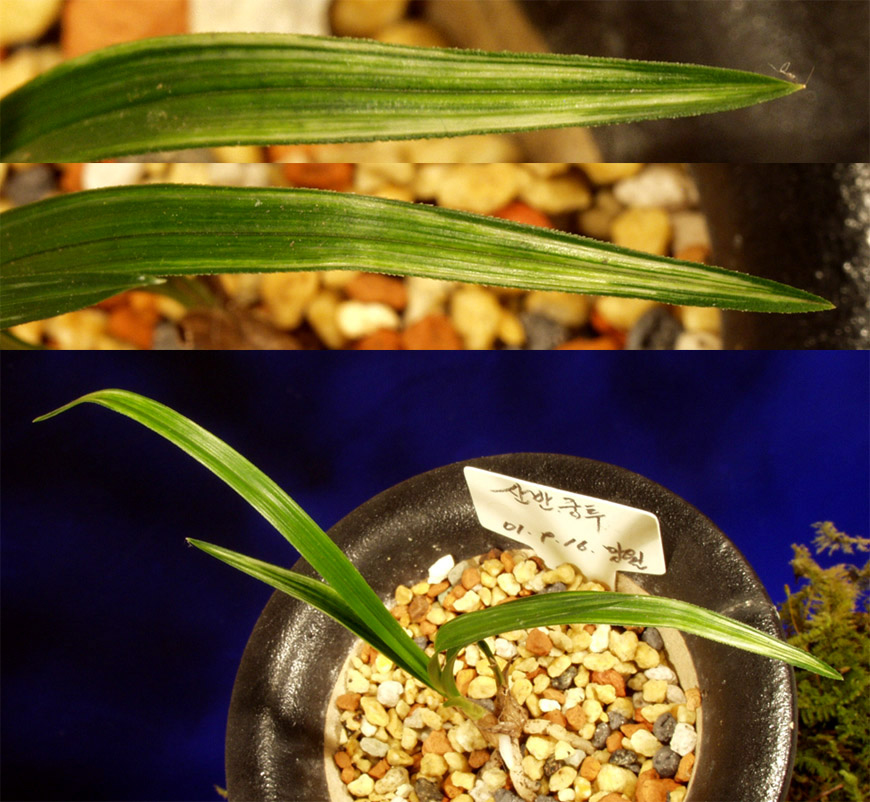 ������ ū������ �� �� �ֽ��ϴ�.