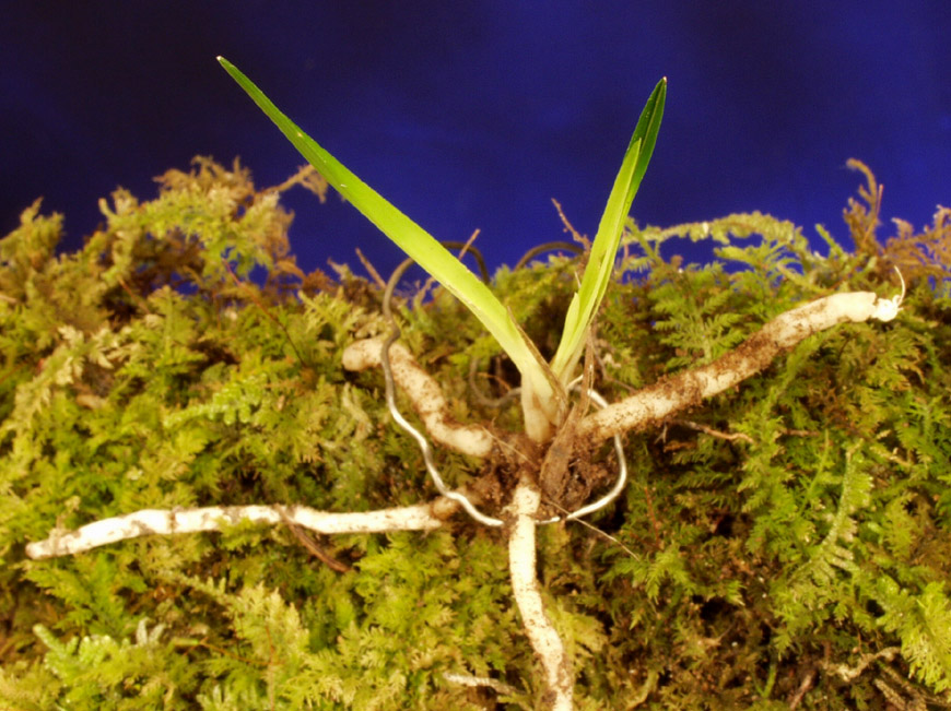 ������ ū������ �� �� �ֽ��ϴ�.