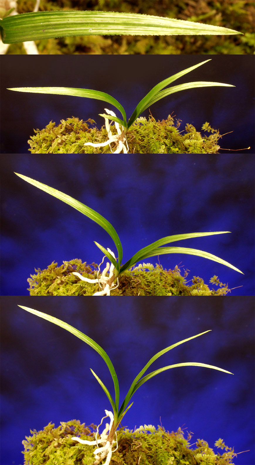 ������ ū������ �� �� �ֽ��ϴ�.