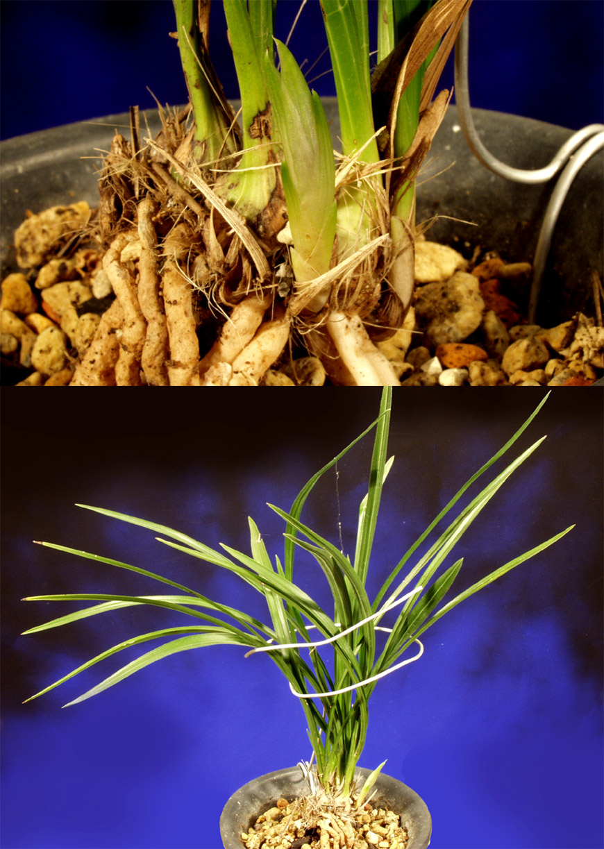 ������ ū������ �� �� �ֽ��ϴ�.