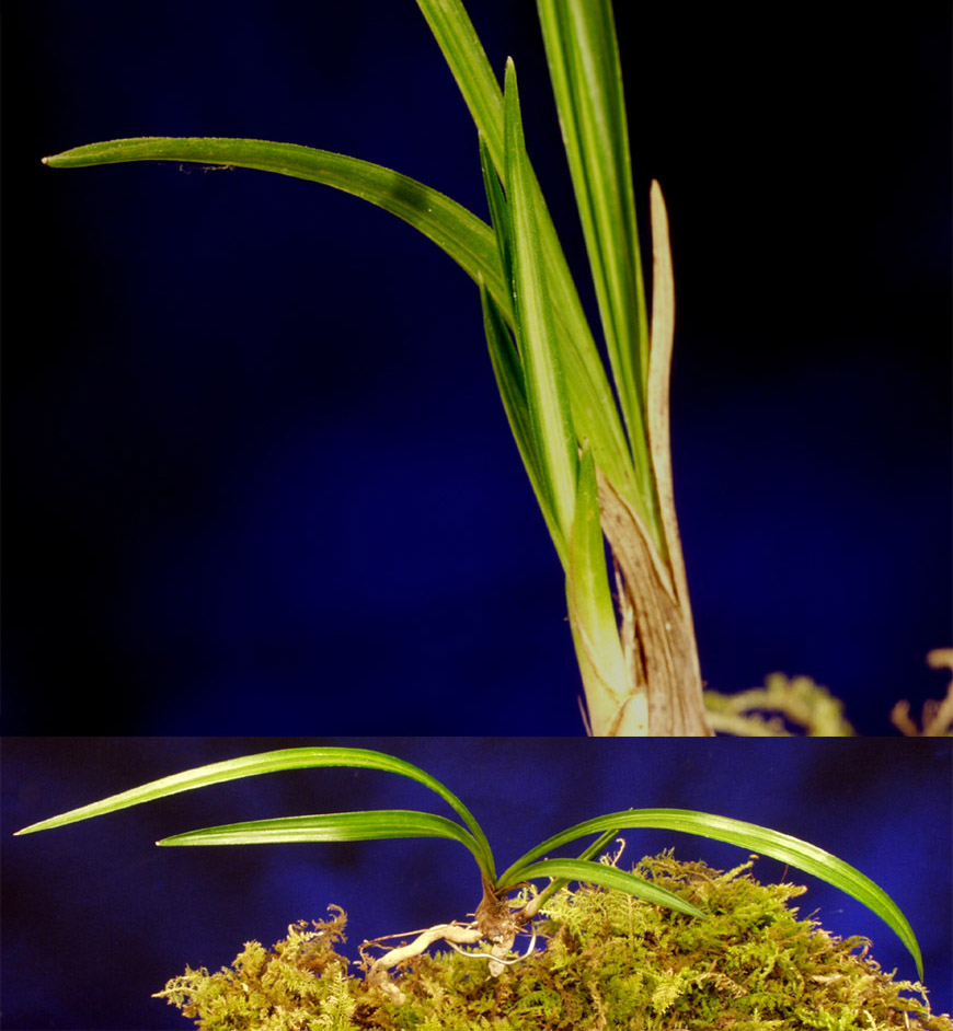 ������ ū������ �� �� �ֽ��ϴ�.