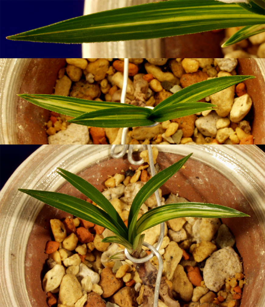 ������ ū������ �� �� �ֽ��ϴ�.