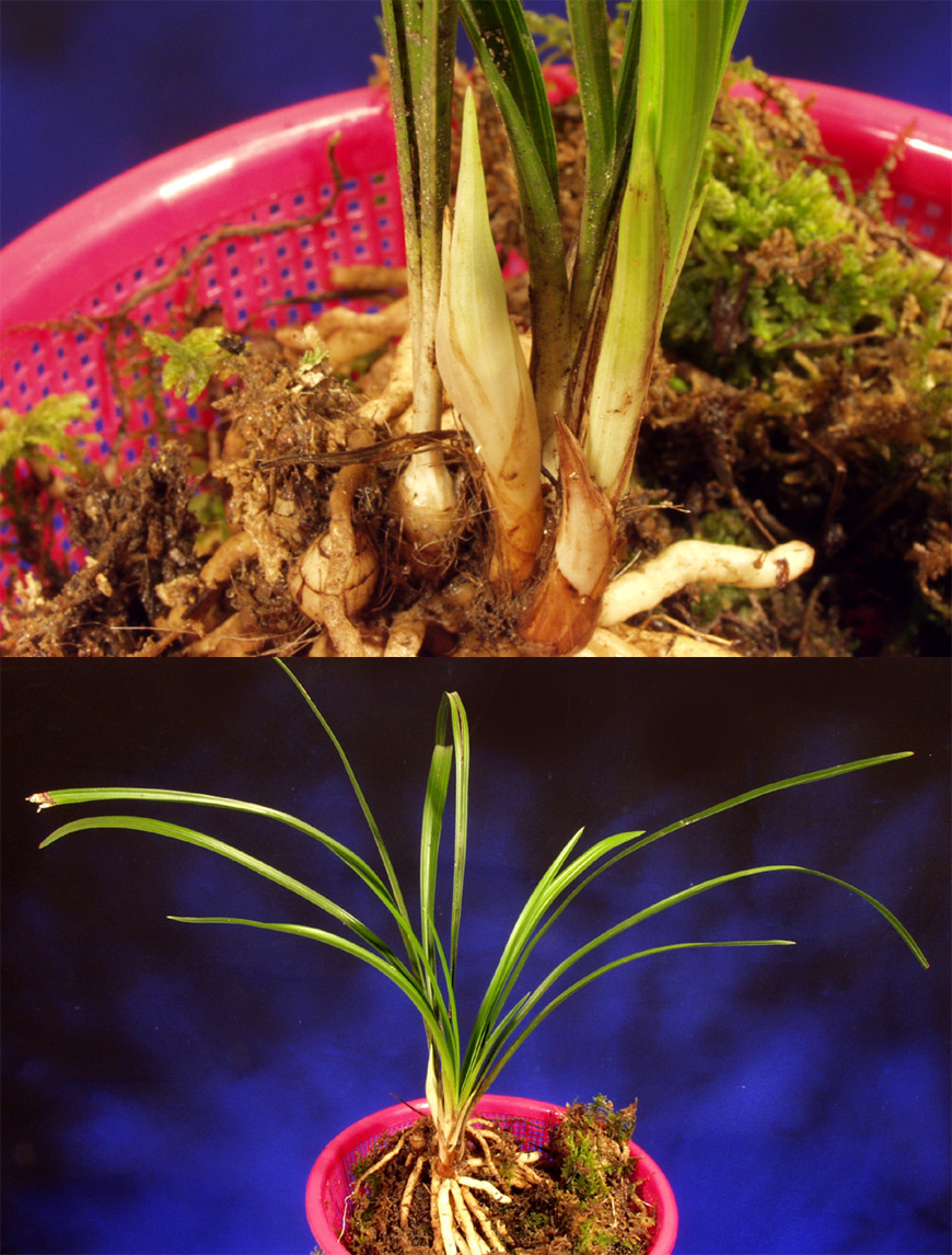 ������ ū������ �� �� �ֽ��ϴ�.