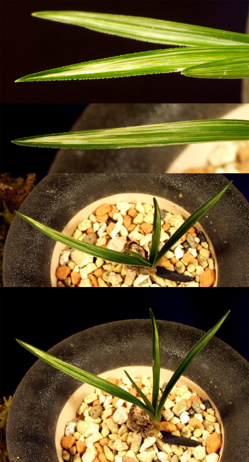 ������ ū������ �� �� �ֽ��ϴ�.