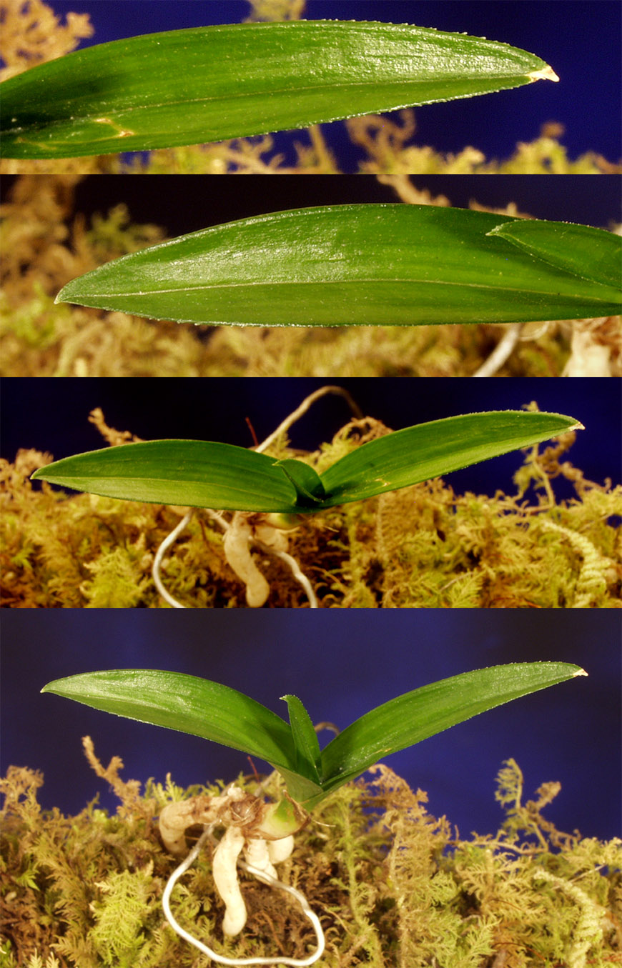 ������ ū������ �� �� �ֽ��ϴ�.