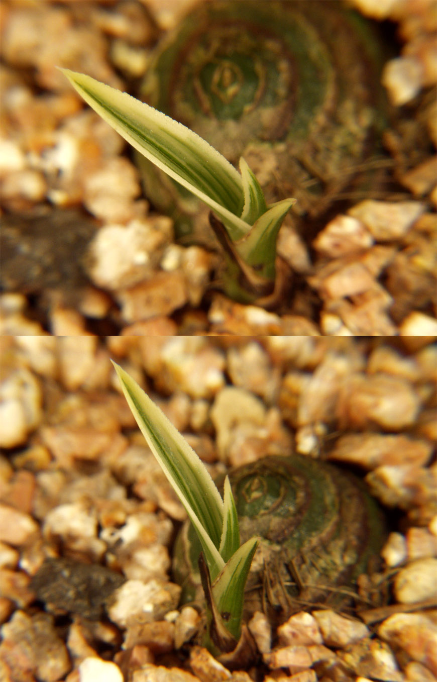 ������ ū������ �� �� �ֽ��ϴ�.