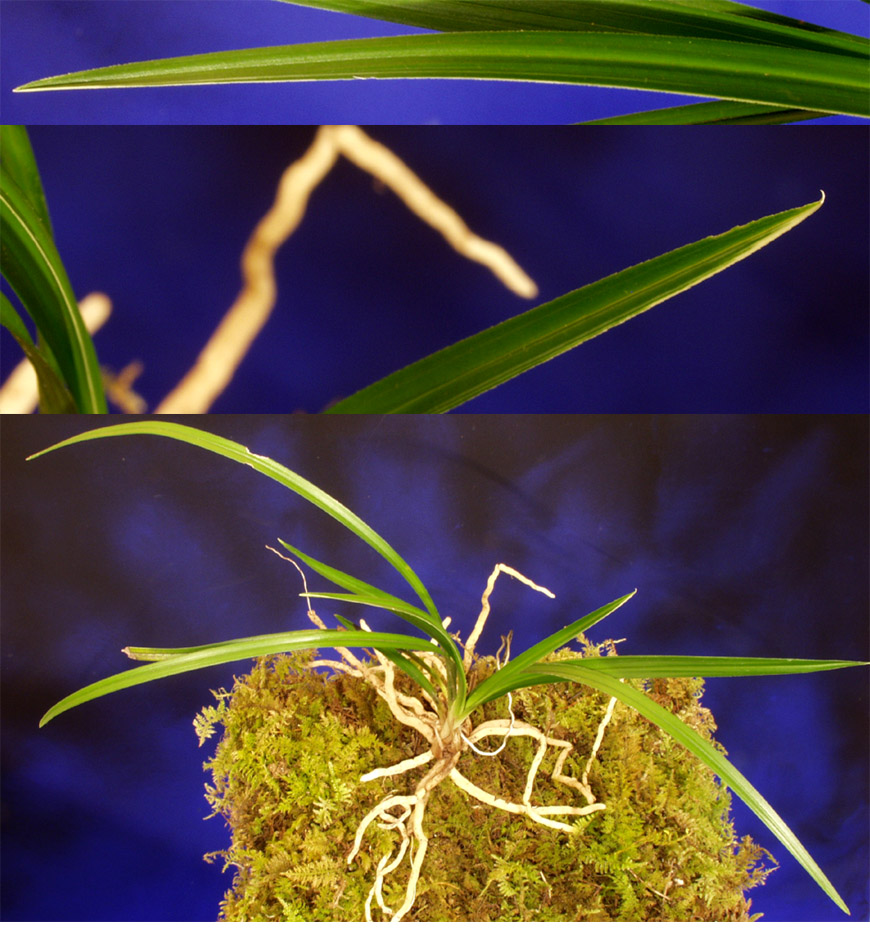 ������ ū������ �� �� �ֽ��ϴ�.