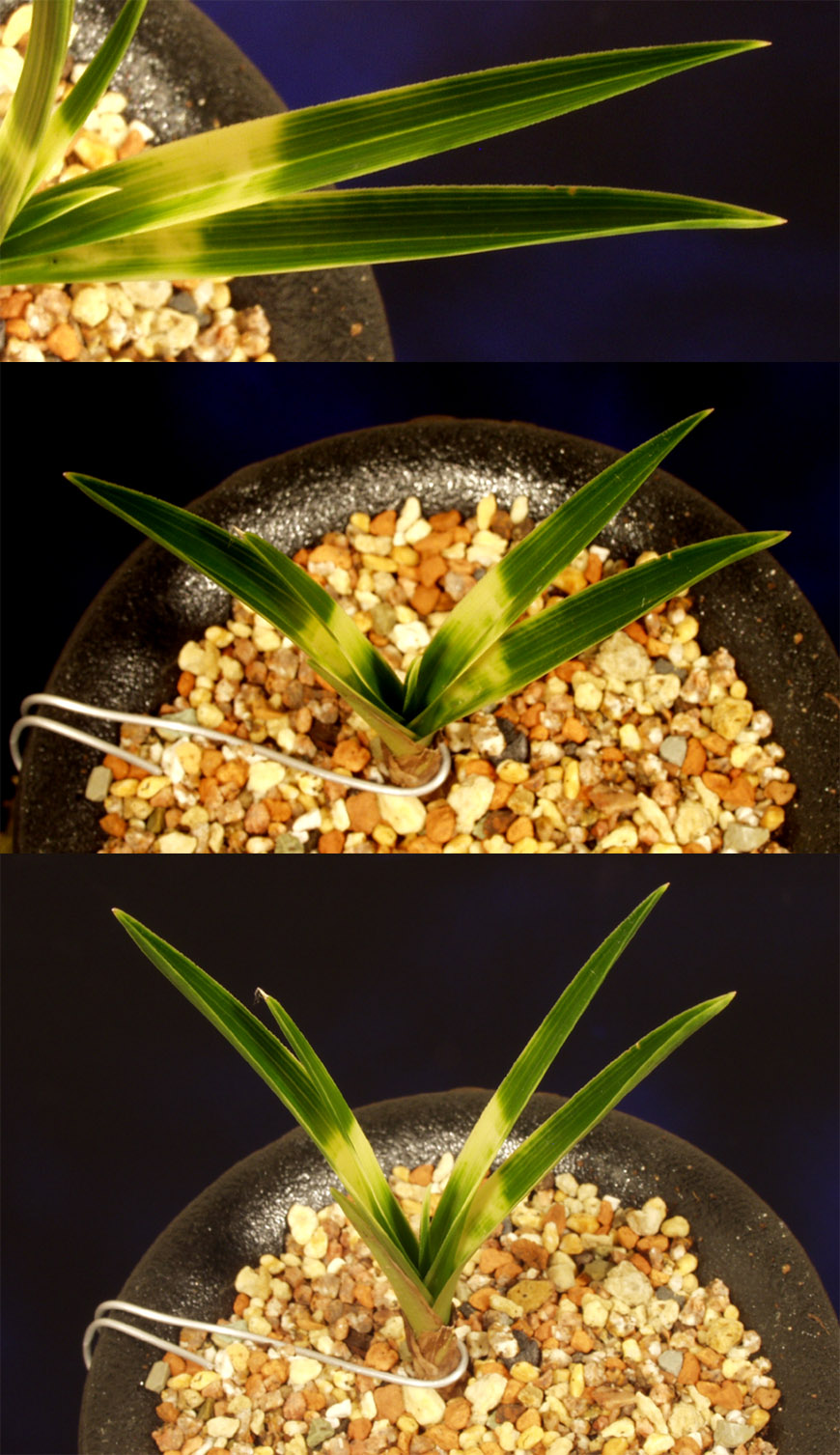 ������ ū������ �� �� �ֽ��ϴ�.