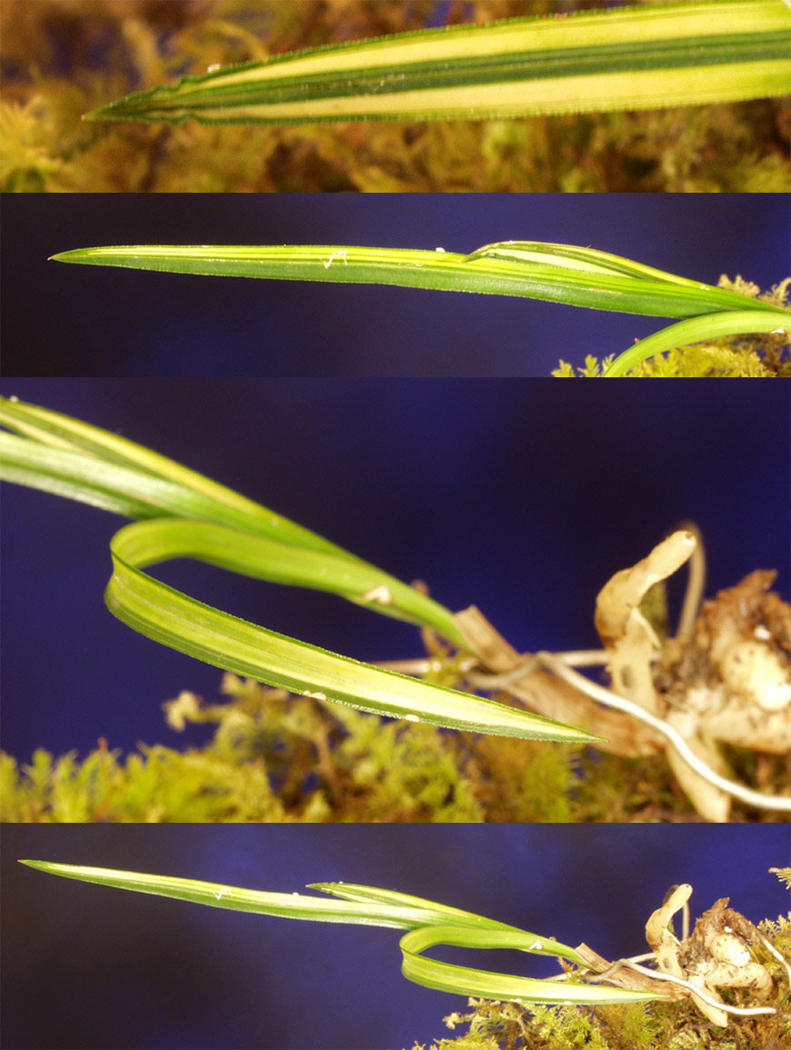 ������ ū������ �� �� �ֽ��ϴ�.