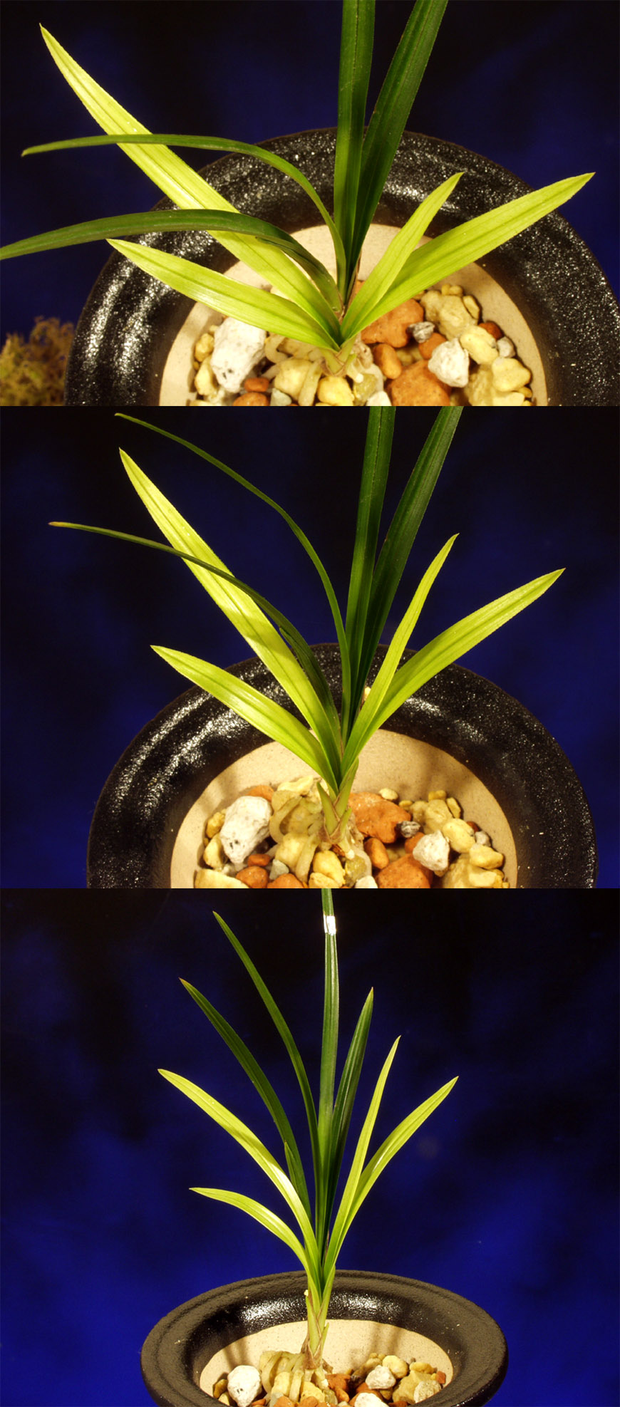 ������ ū������ �� �� �ֽ��ϴ�.