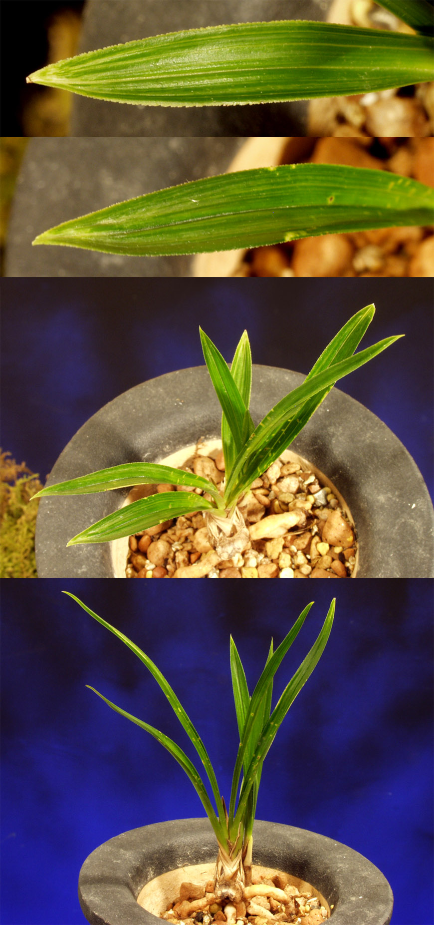 ������ ū������ �� �� �ֽ��ϴ�.