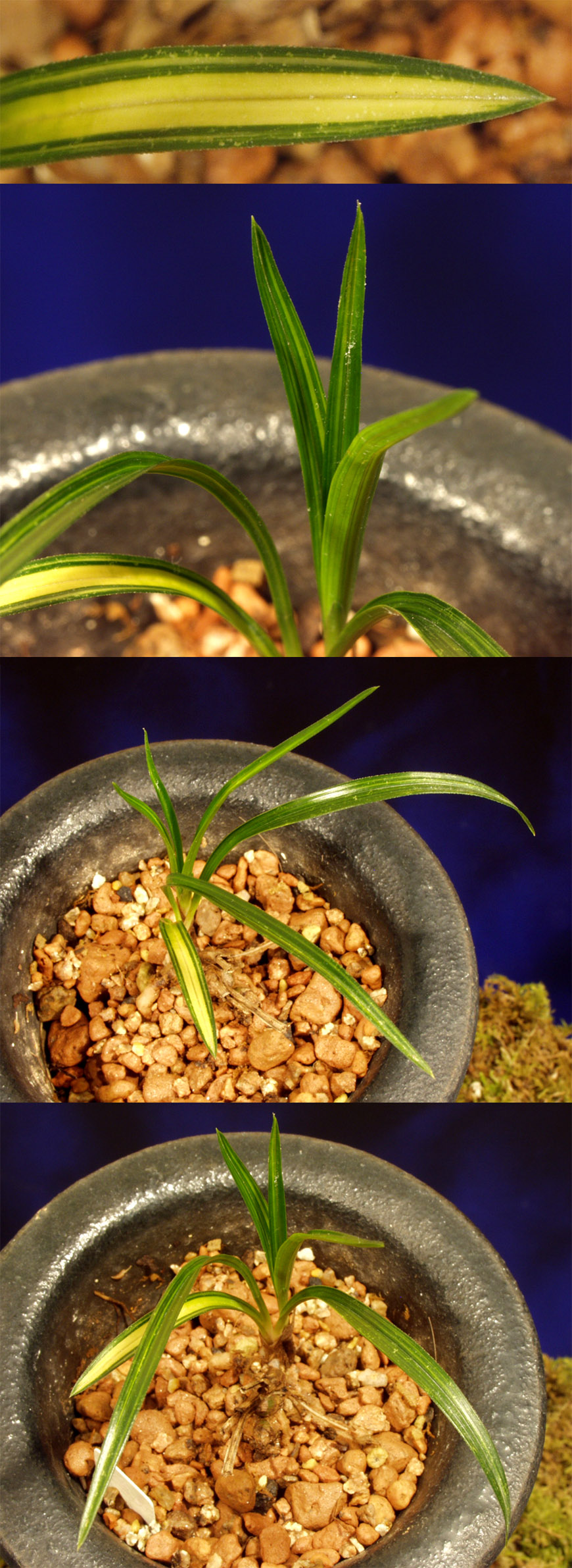 ������ ū������ �� �� �ֽ��ϴ�.