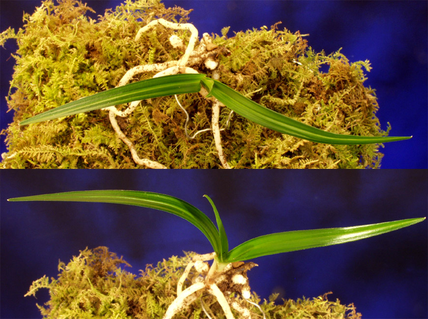 ������ ū������ �� �� �ֽ��ϴ�.