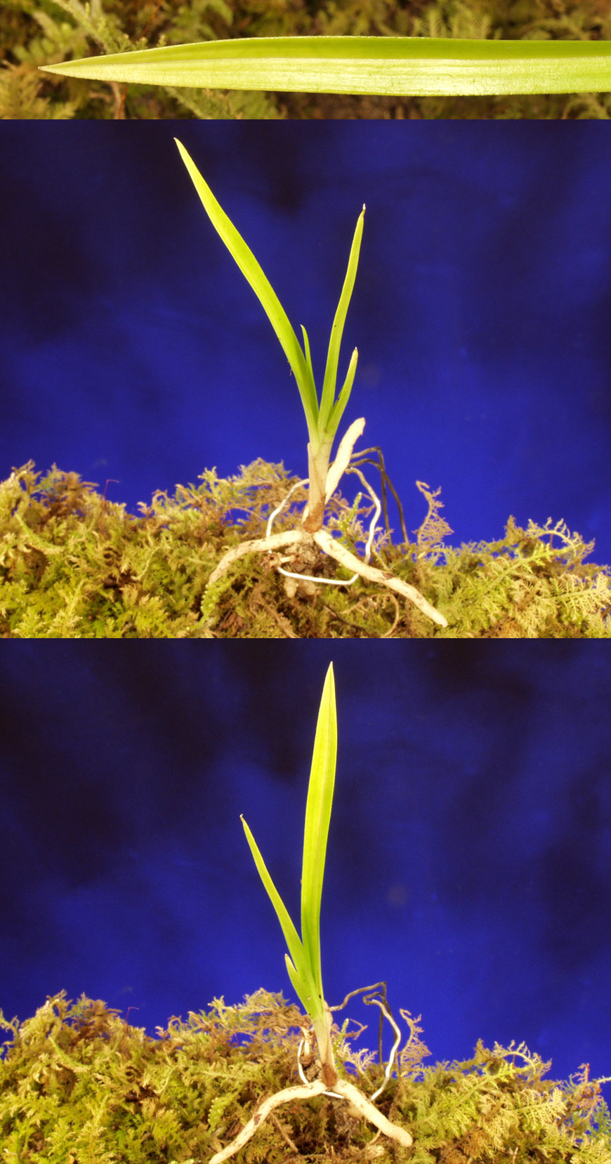 ������ ū������ �� �� �ֽ��ϴ�.