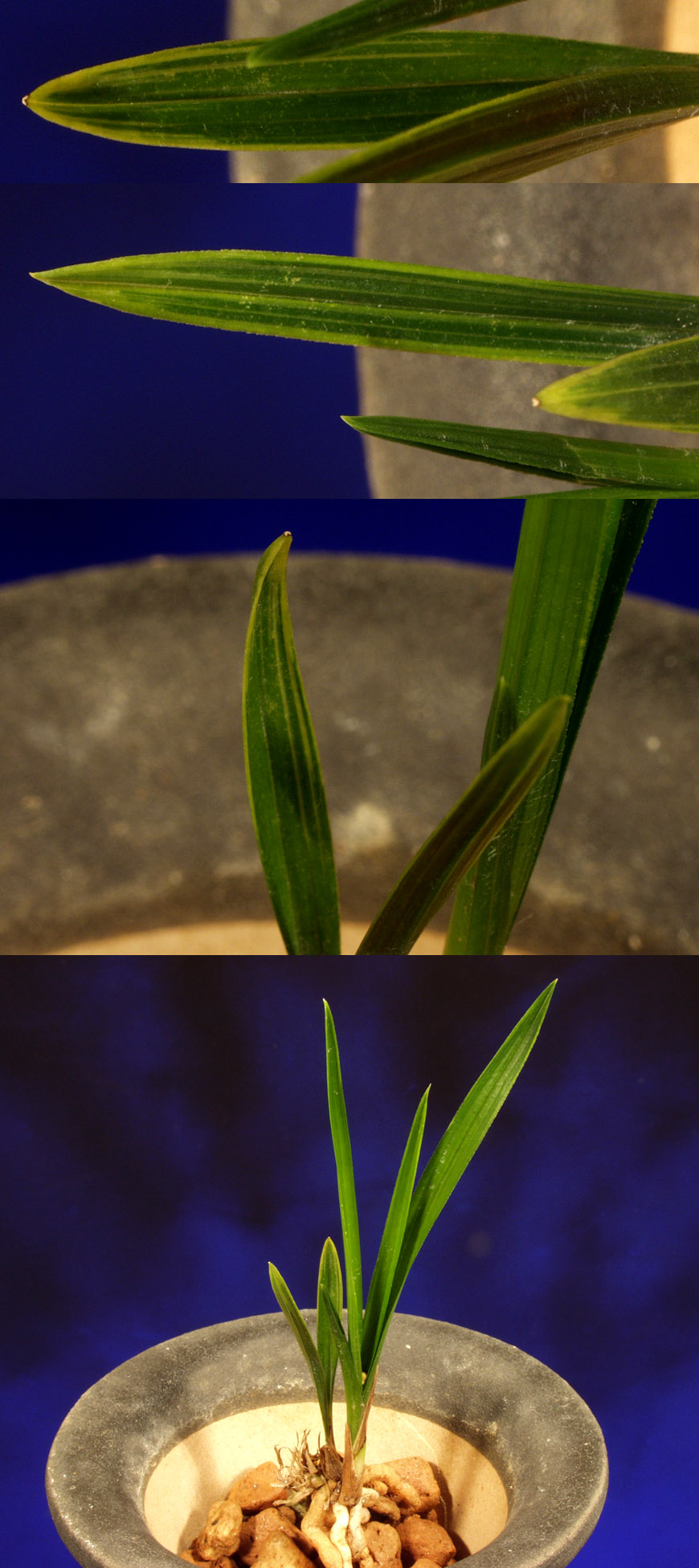 ������ ū������ �� �� �ֽ��ϴ�.