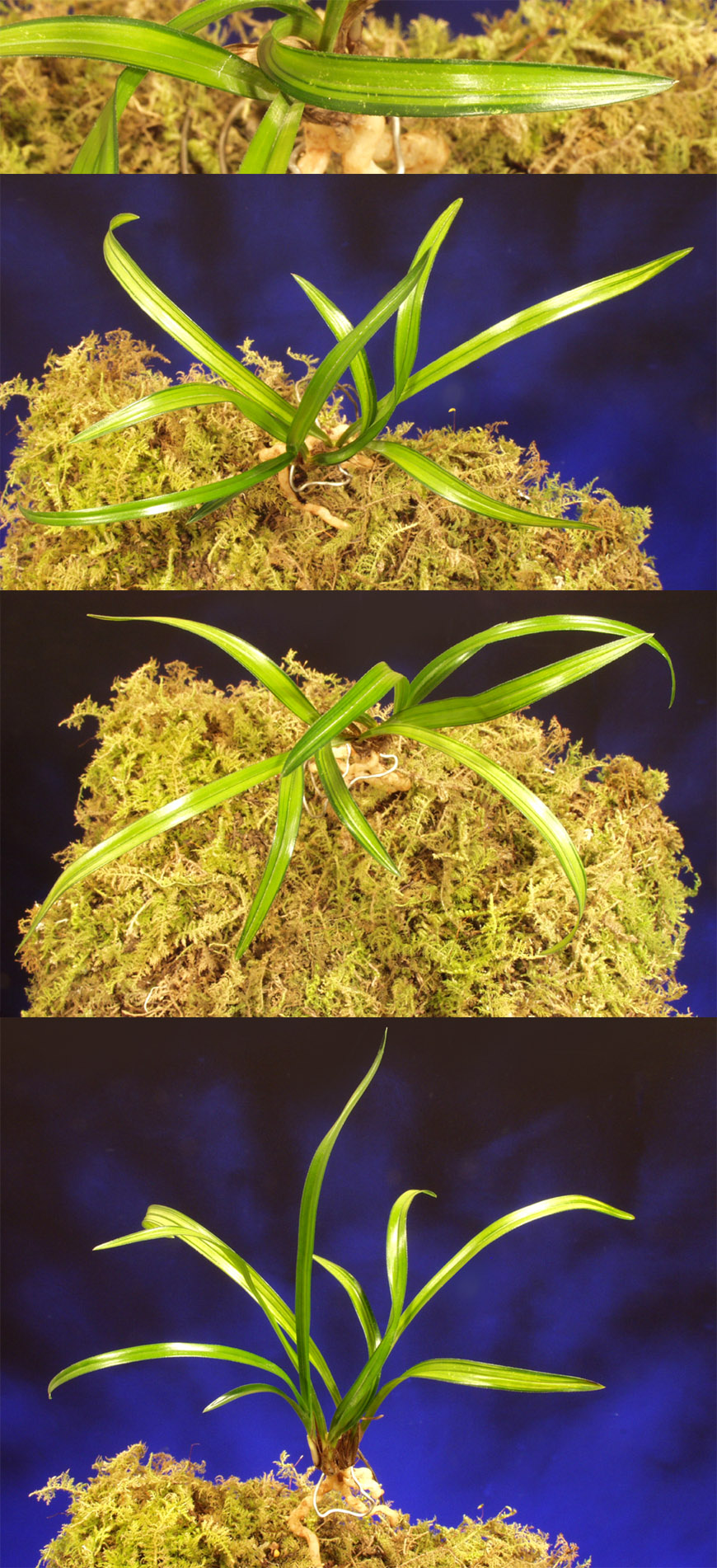 ������ ū������ �� �� �ֽ��ϴ�.