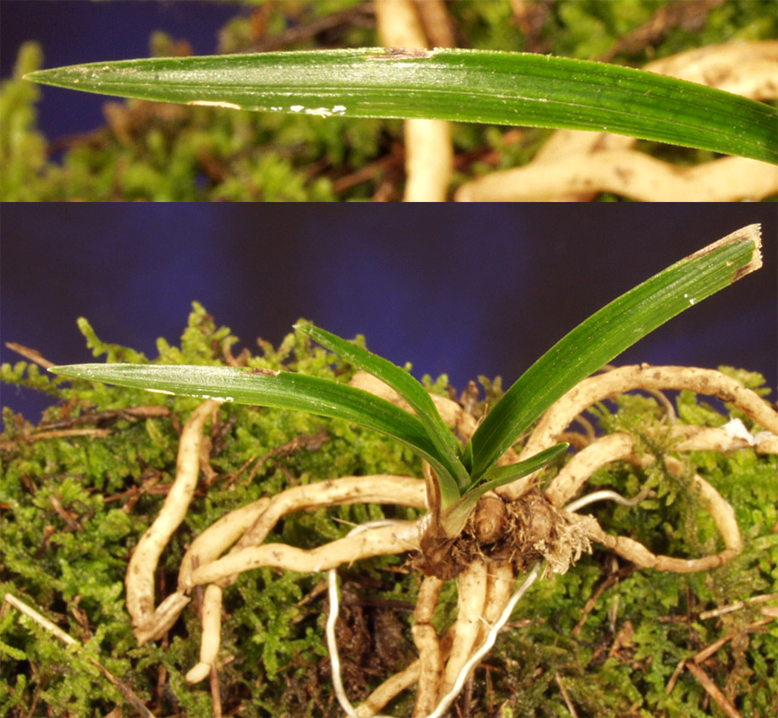 ������ ū������ �� �� �ֽ��ϴ�.