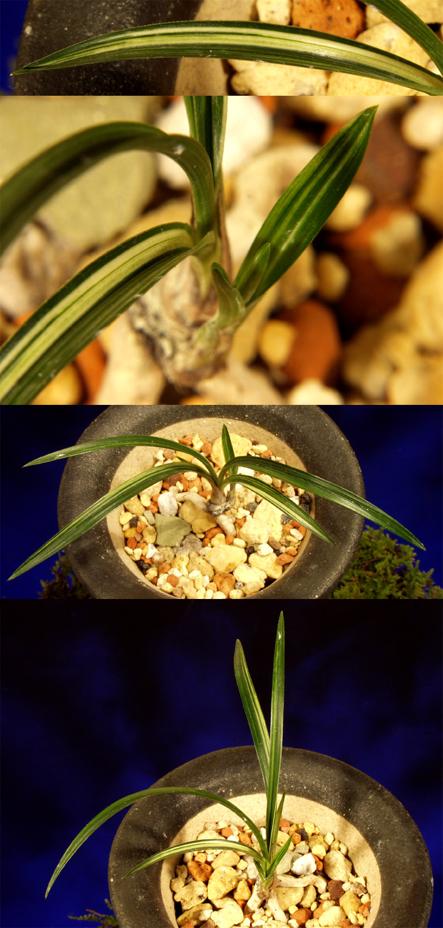 ������ ū������ �� �� �ֽ��ϴ�.