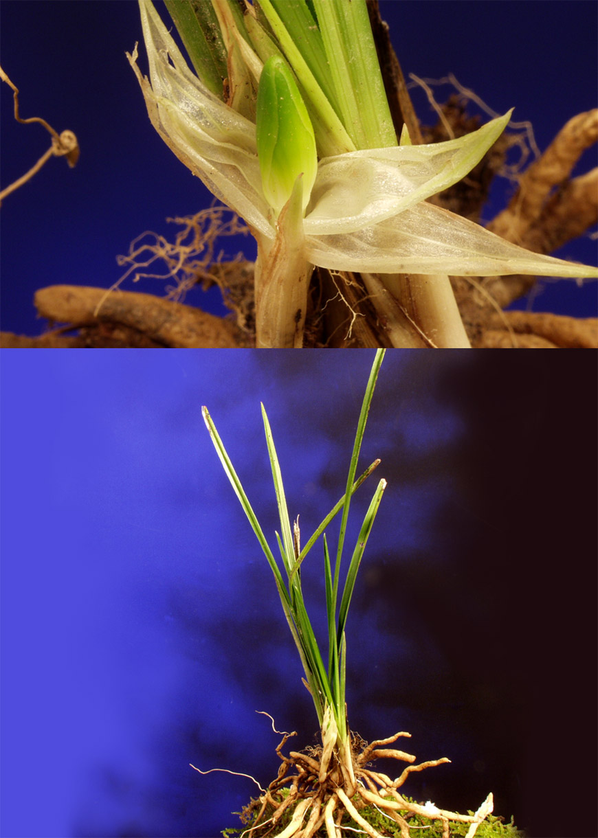 ������ ū������ �� �� �ֽ��ϴ�.