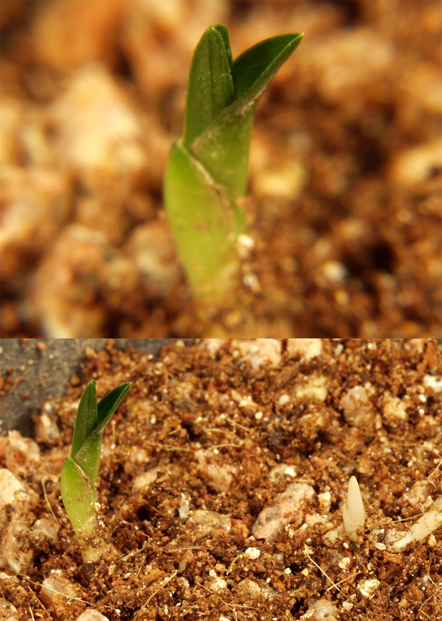 ������ ū������ �� �� �ֽ��ϴ�.