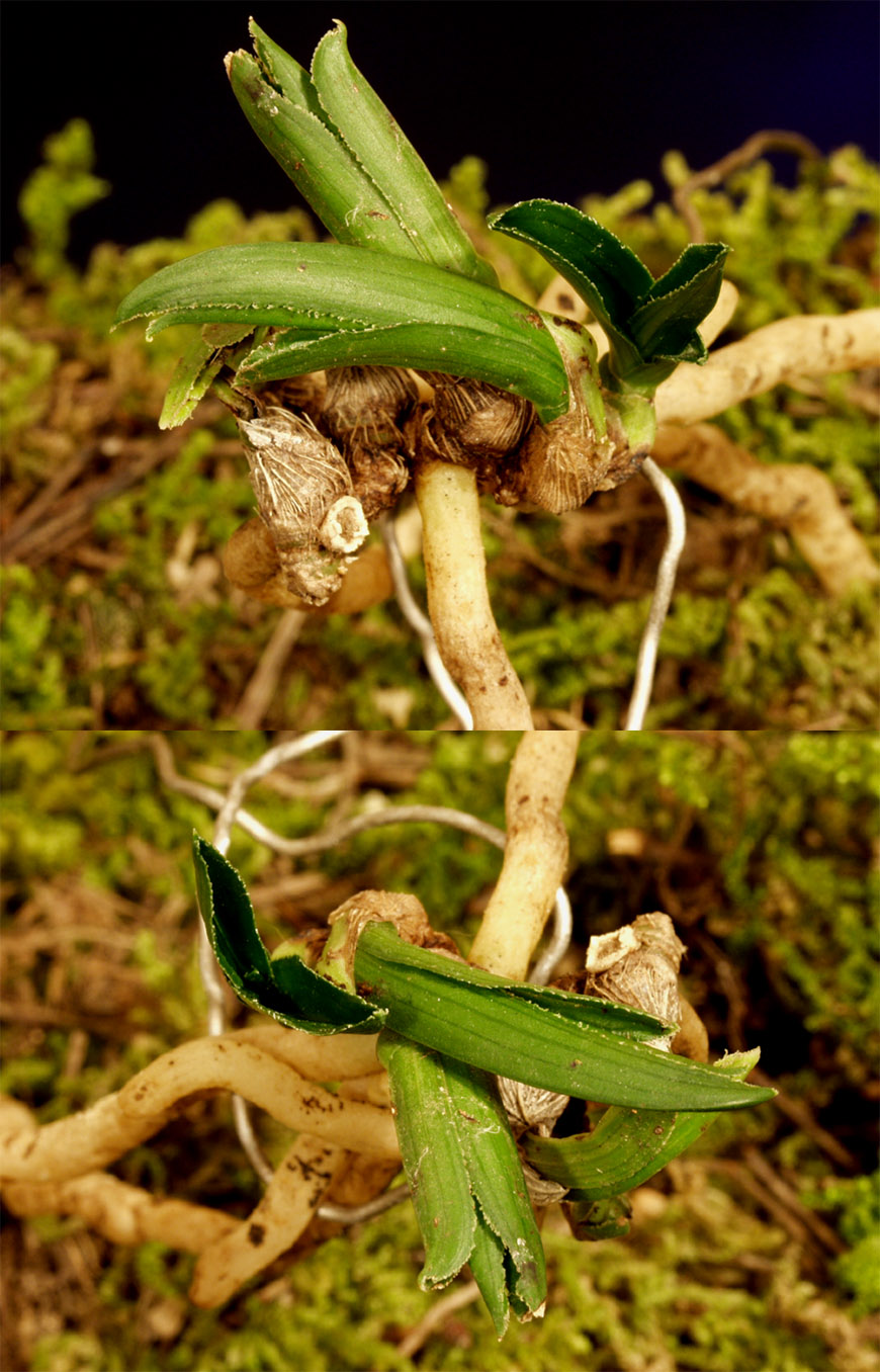 ������ ū������ �� �� �ֽ��ϴ�.