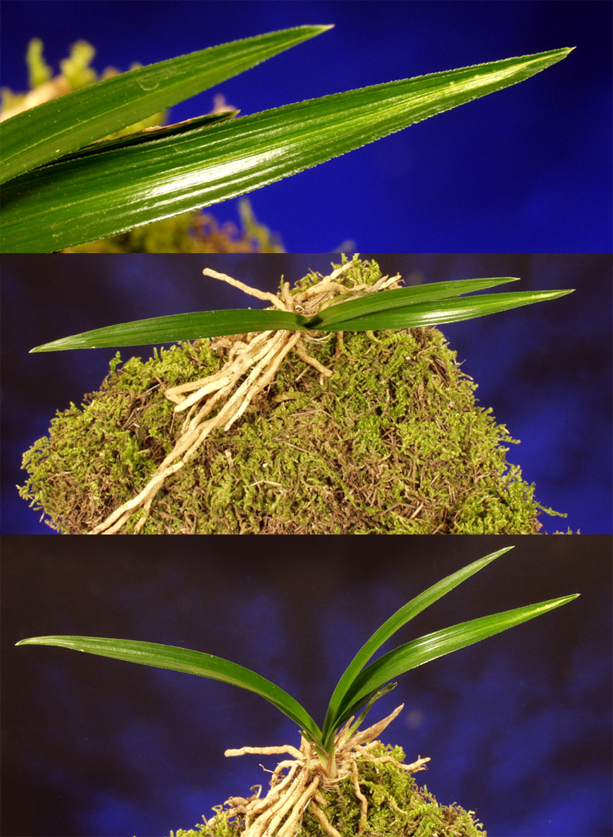 ������ ū������ �� �� �ֽ��ϴ�.