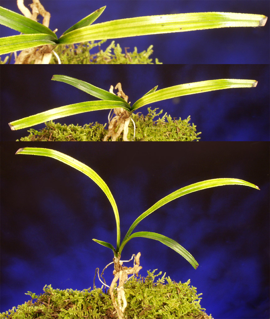 ������ ū������ �� �� �ֽ��ϴ�.