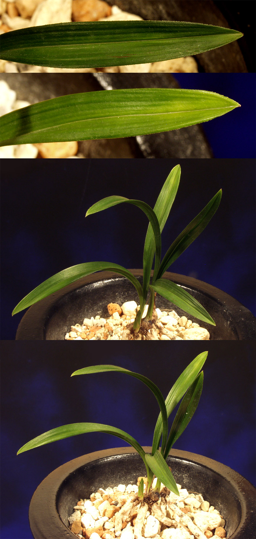 ������ ū������ �� �� �ֽ��ϴ�.