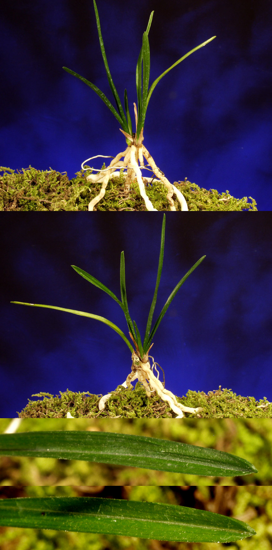 ������ ū������ �� �� �ֽ��ϴ�.